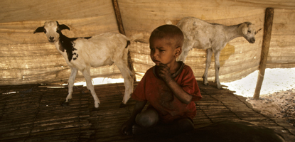 Young child is sharing a tent with two goats in Touareg near Nara. Photo: © UN Photo/John Isaac.