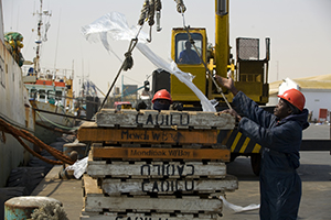 Walvis Bay on the Atlantic Ocean is the main port in Namibia and home to many fishing companies, fishing is one of the main contributors to the Namibian economy. © John Hogg/World Bank 
