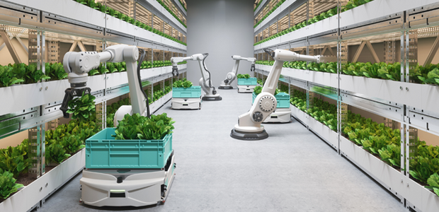 Robots working in a greenhouse
